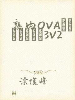 熟肉OVAちゃんはしたい3V2