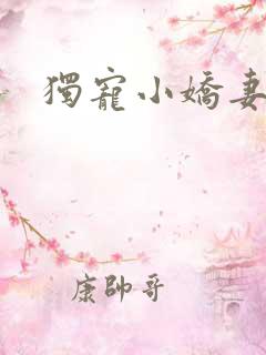 独宠小娇妻