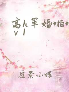 高h军婚啪啪1ⅴ1
