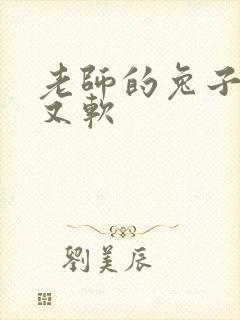 老师的兔子又大又软