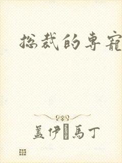 总裁的专宠床奴