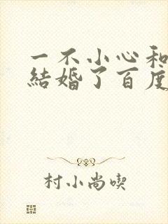 一不小心和醋精结婚了百度云