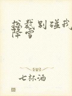 总裁别碰我 韩降雪