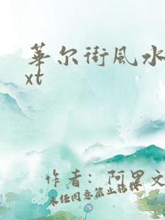 华尔街风水师txt