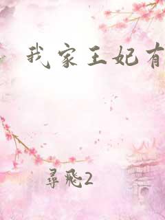 我家王妃有点野