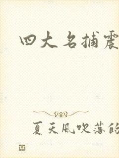 四大名捕震关东