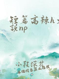 短篇高辣h文小说np