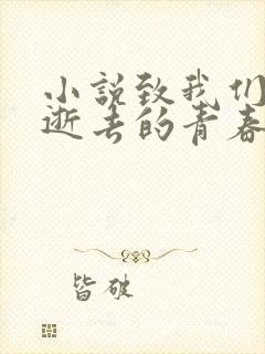 小说致我们终将逝去的青春
