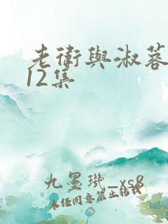 老卫与淑蓉1一12集