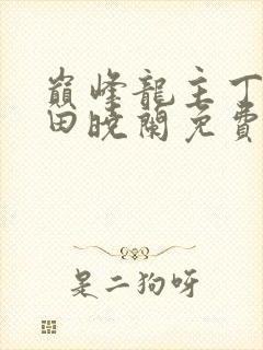 巅峰龙主丁长顺田晓兰免费阅读