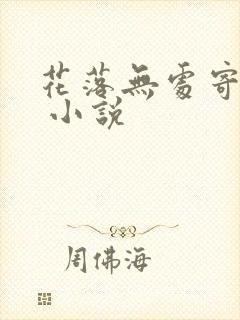 花落无处寄相思 小说