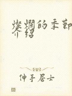 灿烂的季节剧情介绍