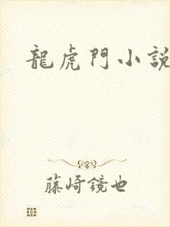 龙虎门小说