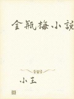 金瓶梅小说
