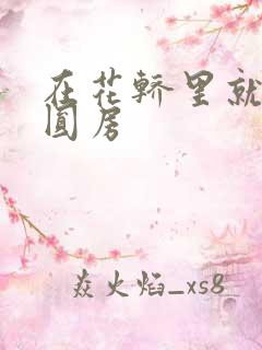 在花轿里就开始圆房