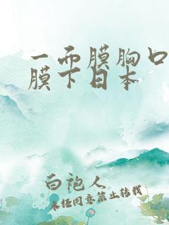 一面膜胸口一面膜下日本