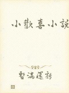 小欢喜小说