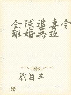 全球追妻令老婆离婚无效