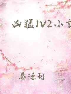 凶猛1V2小说