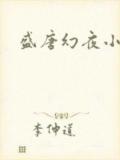 盛唐幻夜小说