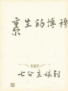 重生的博穆博果尔