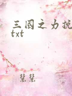 三国之力挽狂澜txt