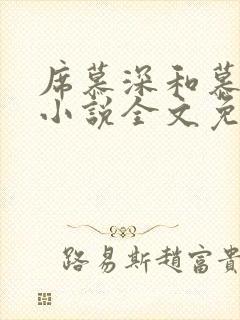 席慕深和慕清泠小说全文免费阅读