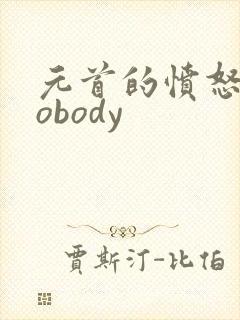 元首的愤怒之nobody