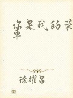 你是我的荣耀肉车