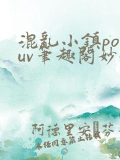 混乱小镇popuv笔趣阁妙妙