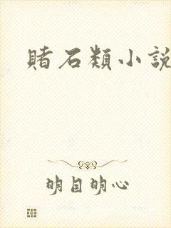 赌石类小说