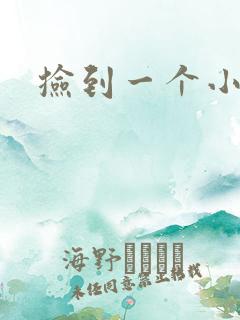 捡到一个小妖精