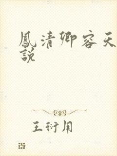 凤清卿容天凌小说