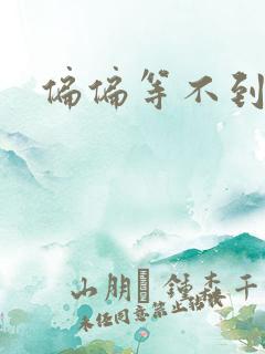 偏偏等不到小说