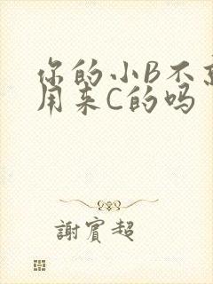 你的小B不就是用来C的吗