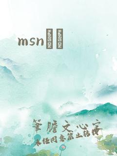 msnС˵