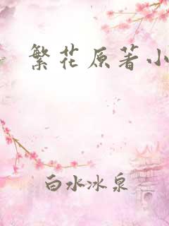 繁花原著小说