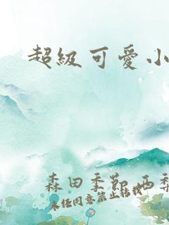 超级可爱小说