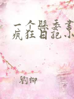 一个县委书记的疯狂日记小说