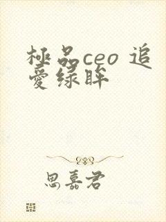 极品ceo 追爱绿眸