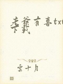 老爷有喜txt下载