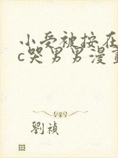 小受被按在墙上c哭男男漫画