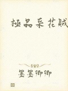 极品采花贼