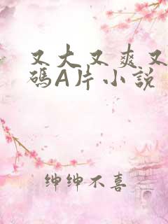 又大又爽又黄无码A片小说