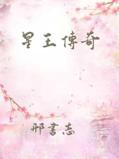 星王传奇