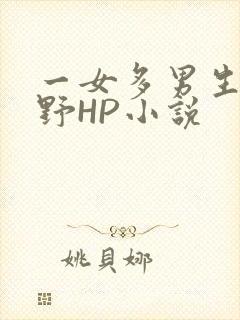 一女多男生活狂野HP小说