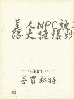 美人NPC被各路大佬爆炒小说