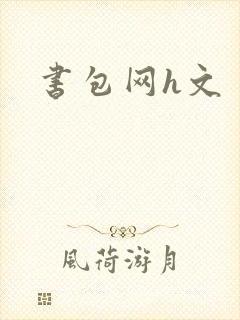 书包网h文