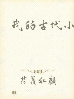 我的古代小夫侍