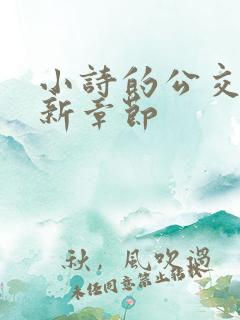 小诗的公交车最新章节